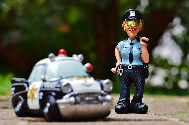 policistka a policejní auto